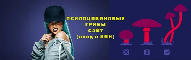 сатива Вязники
