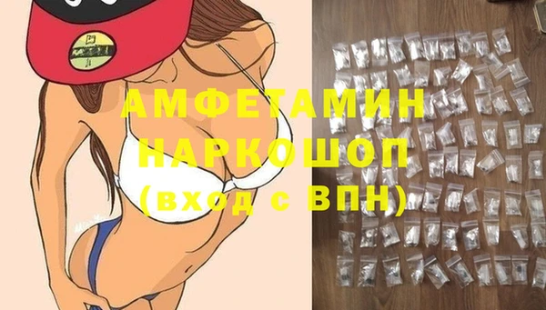 мдпв Вязьма